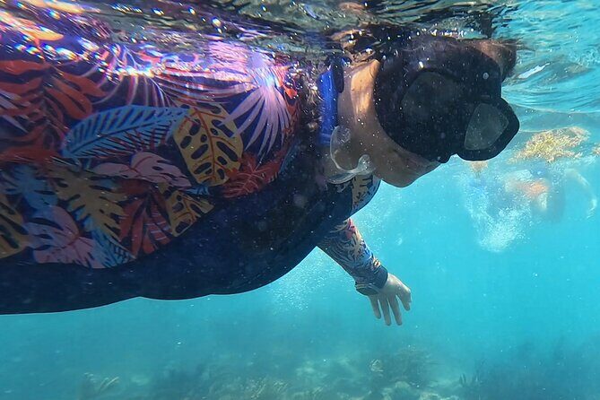1.5 hours Snorkeling at Tulum's paradise reef - What the Small Group Advantage Feels Like