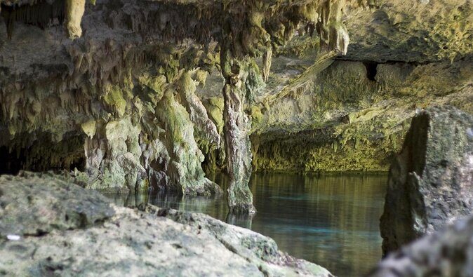 2 cenote divings (including one deep diving) for advanced divers in Tulum - Key highlights you’ll feel immediately
