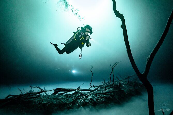 2 cenote divings (including one deep diving) for advanced divers in Tulum - Stop-by-stop schedule: how the day flows