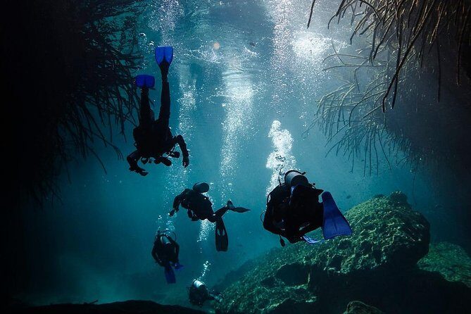2 cenote divings (including one deep diving) for advanced divers in Tulum - Cenote Dos Ojos: limestone formations, bat cave, and light play