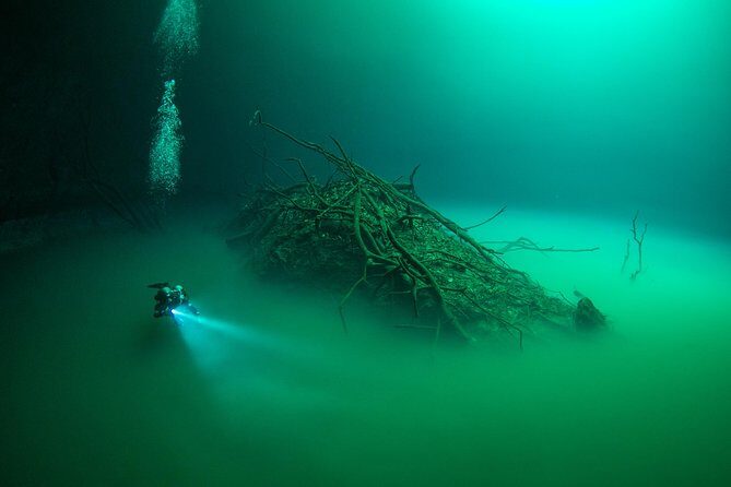 2 cenote divings (including one deep diving) for advanced divers in Tulum - Guide quality: why Martino and Alex keep getting named