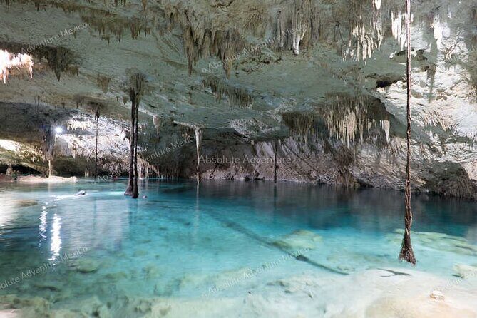 2 Cenotes Private Tour – VIP Adventure with Expert Guide - Dos Ojos Park Lunch: The Break That Makes the Whole Day Work