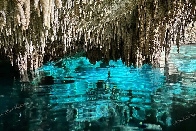 2 Cenotes Private Tour – VIP Adventure with Expert Guide - Cenote Nicte-ha: Your First Snorkel in Clear, Easy-First Water