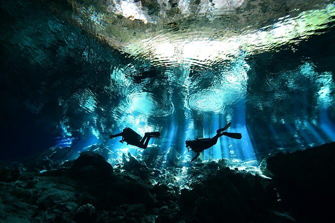 2 dives in Cenote Dos ojos Certified Divers - Key things I’d bet you’ll notice fast