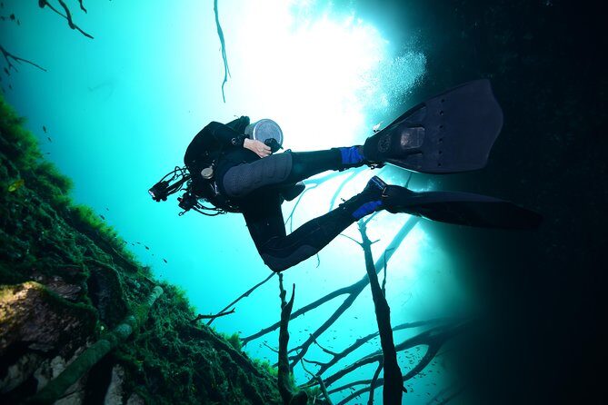 2 dives in Cenote Dos ojos Certified Divers - Should you book this cenote cave scuba day?