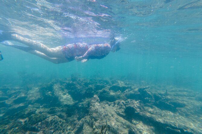 2-Hour Snorkeling in Two Spots of Tulum's Reef - Second Reef Stop: Coral Scenery and the Fish-Spotting Game