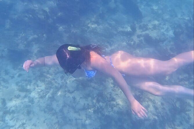 2-Hour Snorkeling in Two Spots of Tulum's Reef - Price and Value: What $51.62 Covers and What Costs Extra