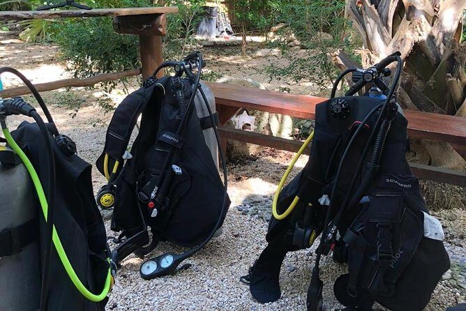 2 tanks Cenote Diving Adventure in Tulum for Certified Divers - What you’re really paying for: $200 buys a lot of “hidden extras”
