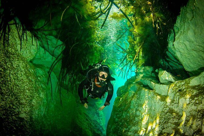 2 tanks Cenote Diving Adventure in Tulum for Certified Divers - Timing and energy: an early start with a half-day finish