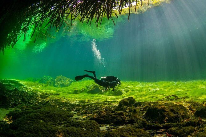 2 tanks Cenote Diving Adventure in Tulum for Certified Divers - Skill level, certification, and who this trip is best for