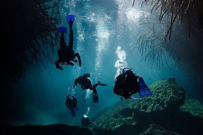 2 tanks Cenote Diving Adventure in Tulum for Certified Divers - Comfort and safety details you should know before you go