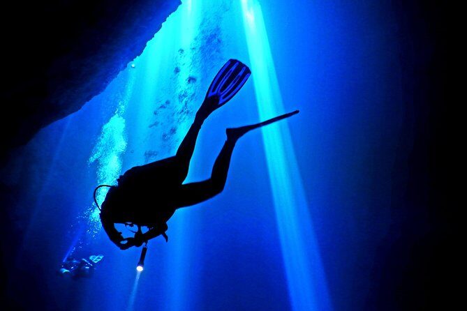 2 tanks Cenote Diving Adventure in Tulum for Certified Divers - Should you book this 2-tank Casa + Dos Ojos experience?