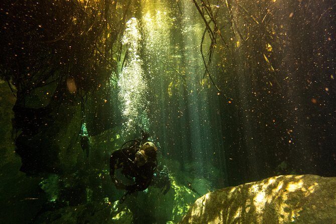 3 Cenote Dives - Casa & Dos Ojos - Breakfast, Lunch, Towels, and the Comfort Pieces That Matter