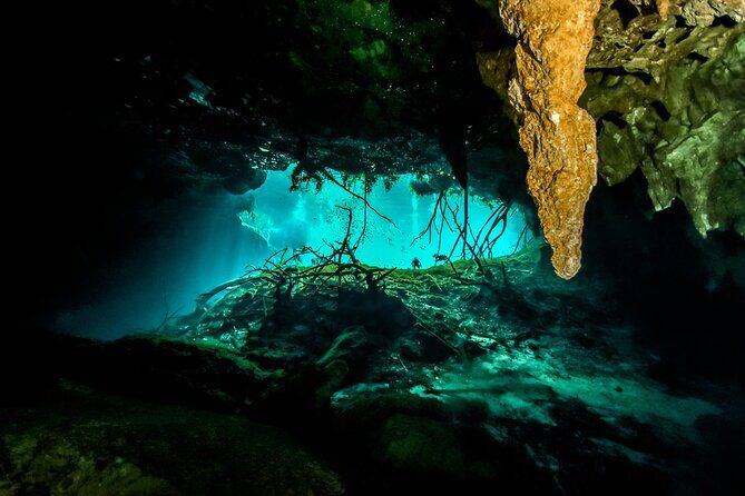 3 Cenote Dives - Casa & Dos Ojos - Getting There Without Hotel Pickup: Plan Your Morning Like a Local