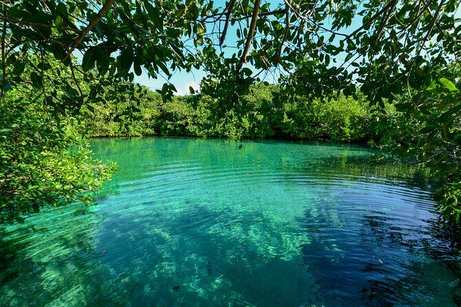 3 Cenote Dives - Casa & Dos Ojos - Value: Why This Bundled Plan Works for a 5-Hour Day