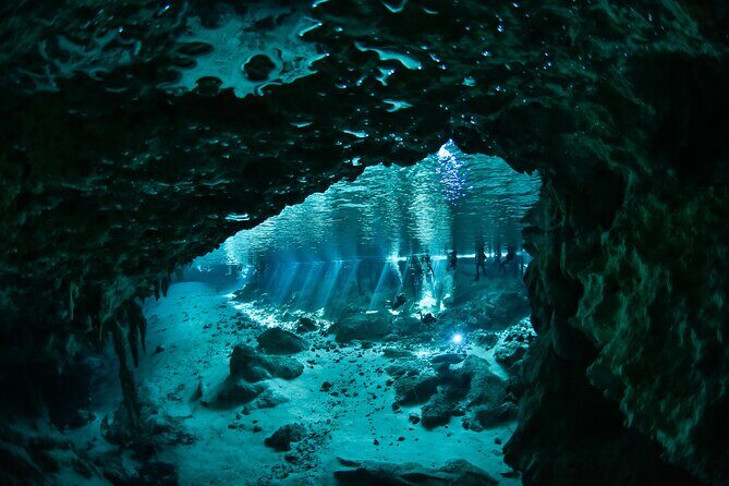 3 Cenote Dives - Casa & Dos Ojos - Two Sessions at Dos Ojos: More Time, More Variety, Less Stress