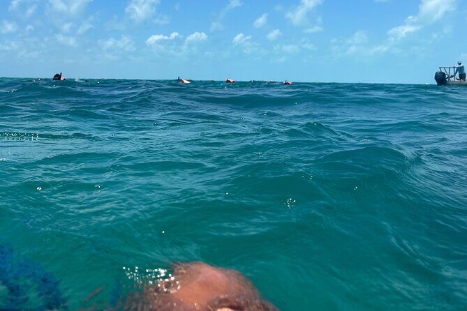 3 in 1 Experience in Tulum - Tulum Archaeological Site with a local Mayan guide
