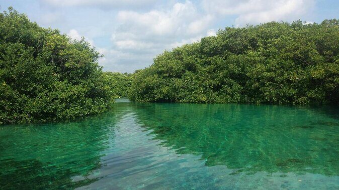 Amazing beginner dive in Tulum cenote (or refresher dive) - Key things I’d plan around
