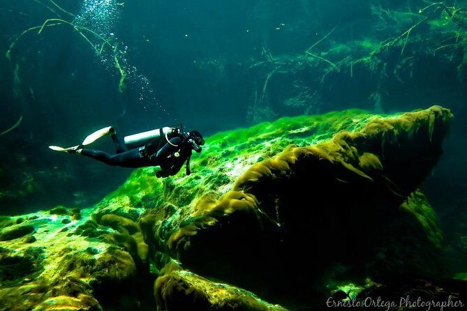 Amazing beginner dive in Tulum cenote (or refresher dive) - What’s included in the $140 price (and what that means for you)