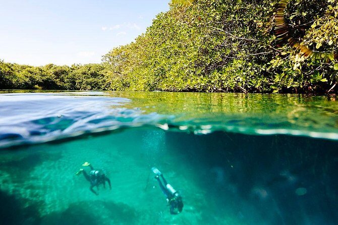 Amazing beginner dive in Tulum cenote (or refresher dive) - Weather, timing, and how to plan your morning in Tulum