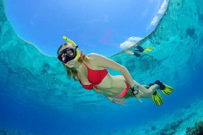 Aquatic Paradise in Tulum: Snorkel Yalku, Swim Cenote & Kaan Luum - Should You Book This Kaan Luum + Cenote + Snorkel Tour?