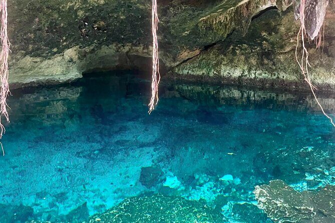 ATV cenote tour Tulum – Mayan Jungle ATV & Cavern Experience - The ATV ride: jungle trails, real motion, and guide control