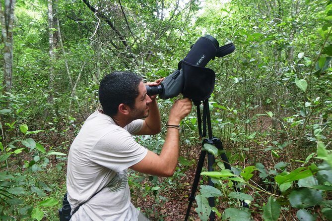 Bird Watching in Sian Ka´an Muyil - Bird Watching in Sian Ka’an Muyil: Why the 6:00 AM Start Works