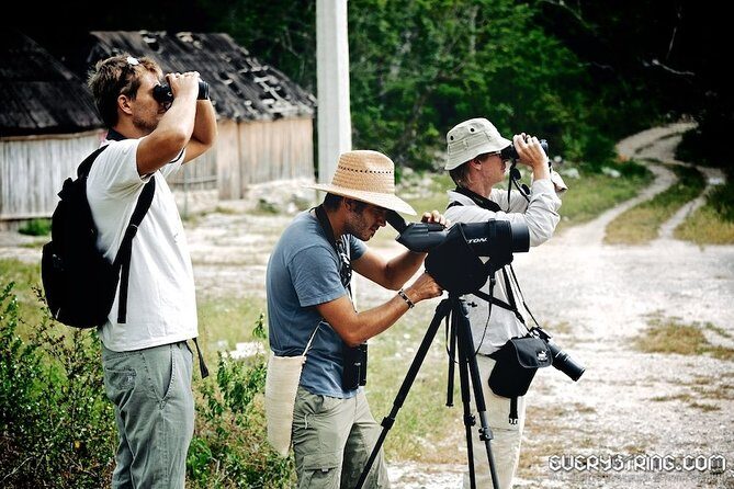 Bird Watching in Sian Ka´an Muyil - Miguel and the Small-Group Advantage: Sound Skills Pay Off