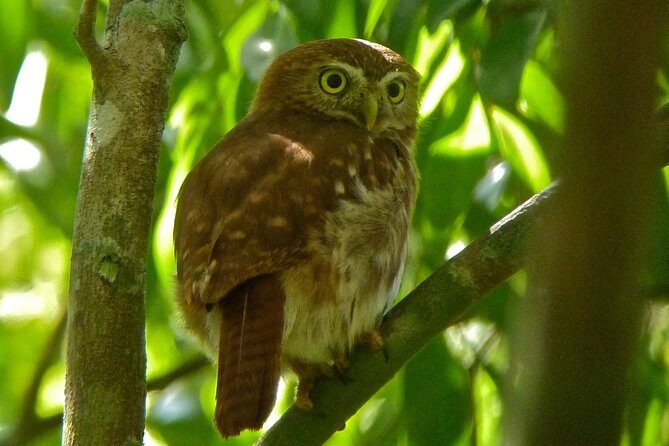 Bird Watching in Sian Ka´an Muyil - Muyil Village Walk: Mayan Everyday Life Meets Bird Spotting