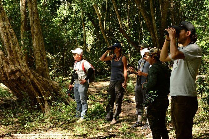 Birdwatching in Coba from Tulum - Shared Group Tour - Cobá Birding in Village and Lagoon Surroundings (About 1 Hour)