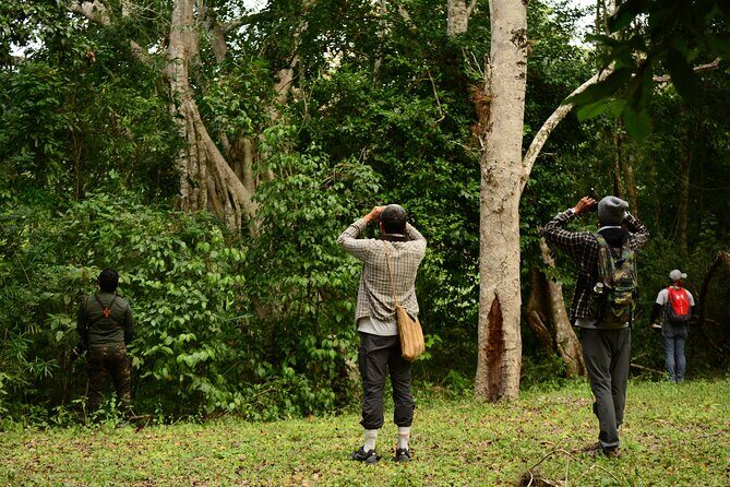 Birdwatching in Coba from Tulum - Shared Group Tour - Tulum Pickup and the 6:00am Reality Check