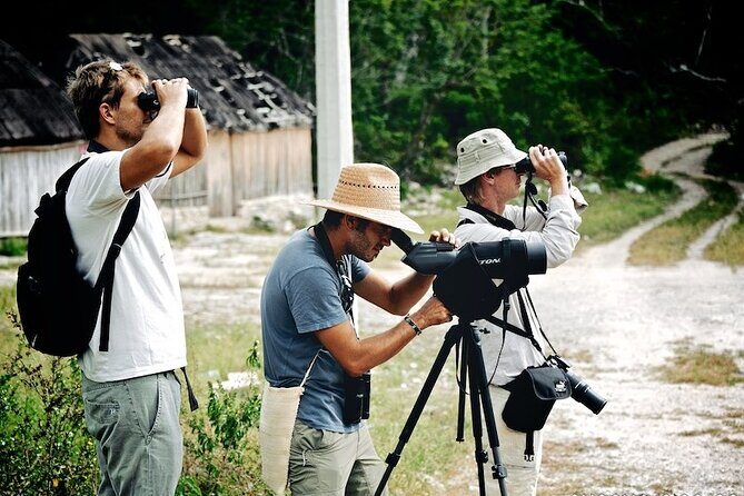 Birdwatching in Sian Ka´an Muyil from Tulum - Shared Group Tour - The 6:00 am timeline, breakfast, and what to pack