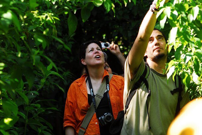 Birdwatching in Sian Ka´an Muyil from Tulum - Shared Group Tour - Logistics from Tulum: meeting point and pacing