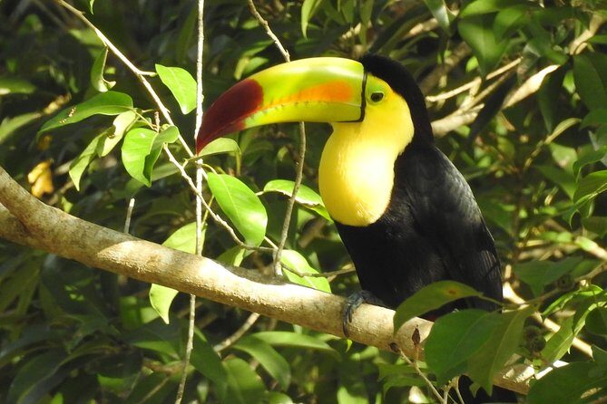 Birdwatching Sian Ka'an Biosphere Reserve - Where Sian Ka’an fits into a Tulum morning