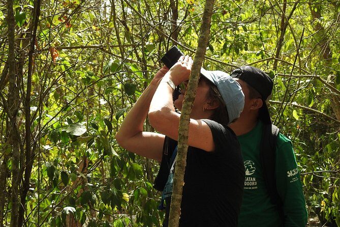 Birdwatching Sian Ka'an Biosphere Reserve - The Sian Ka’an birdwatching focus: what you’ll actually be looking for