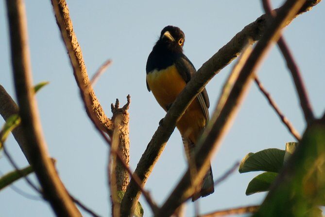 Birdwatching Sian Ka'an Biosphere Reserve - Breakfast, snacks, fruit, and water: the simple value add