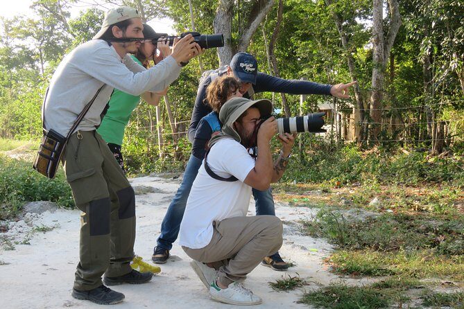 Birdwatching Sian Ka'an Biosphere Reserve - Muyil Archaeological Zone: birds with a Maya backdrop