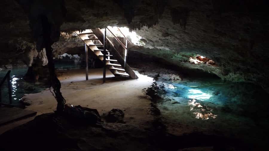 Cancun: Snorkeling tour with Sea Turtles & Cenote, half day. - The guides: language groups that keep things moving
