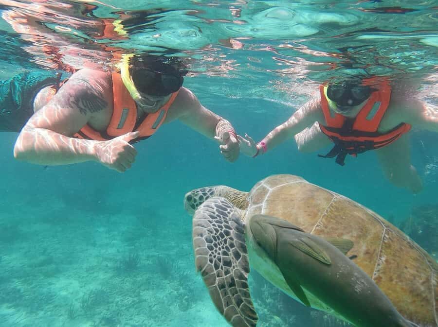 Cancun: Snorkeling tour with Sea Turtles & Cenote, half day. - A few practical tips I’d use before you head out