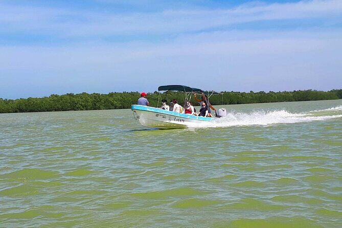 Cancun tour Las Coloradas Pink Lagoon + Rio Lagartos Tour - Price and what $149 really buys you