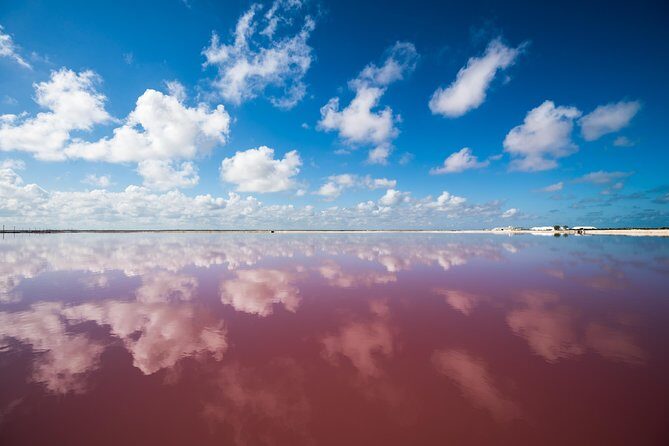 Cancun tour Las Coloradas Pink Lagoon + Rio Lagartos Tour - Ría Lagartos reserve: birds, boat time, and muddy-wading moments