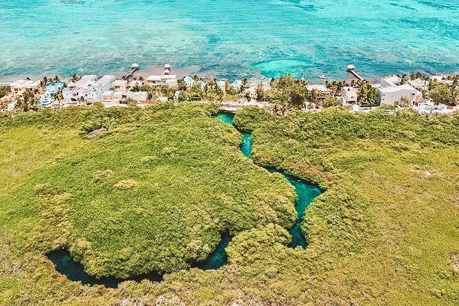 Cenote Paddleboarding and Snorkeling in Tulum - Lunch tacos in Tulum Town: included, and it’s actually the point