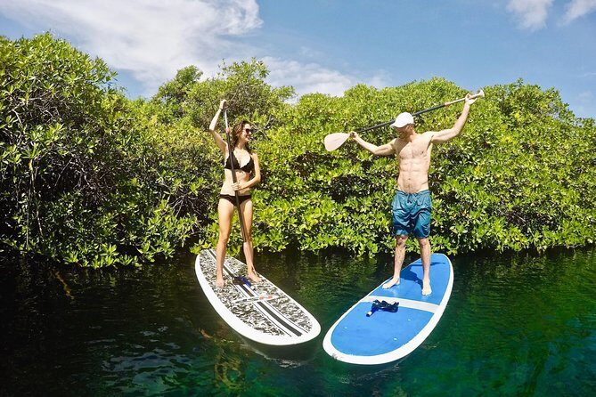 Cenote Paddleboarding and Snorkeling in Tulum - What’s included (and what you’ll need to cover yourself)