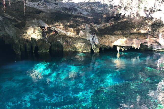 Cenote Triple Adventure Tour in Tulum - Meet at 85xciento La Vera Pizza, then hop into the cenote day
