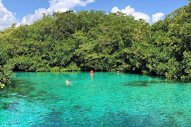 Cenote Triple Adventure Tour in Tulum - Stop 3: Casa Cenote for the jungle-swim vibe and soft-sand comfort