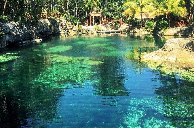 Cenotes Casa Tortuga: 4 Cenotes Day Pass - Timing for better water time: early vs later