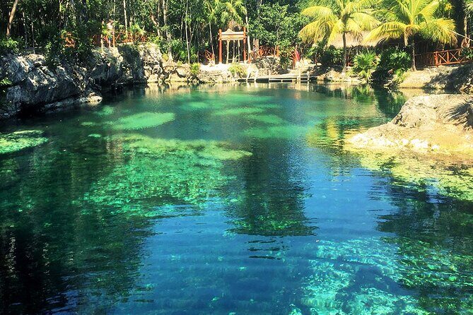Cenotes Casa Tortuga: 4 Cenotes Day Pass - Practical gear tips that save time and money