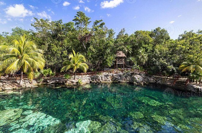 Cenotes Casa Tortuga: 4 Cenotes Day Pass - Who this day pass is best for