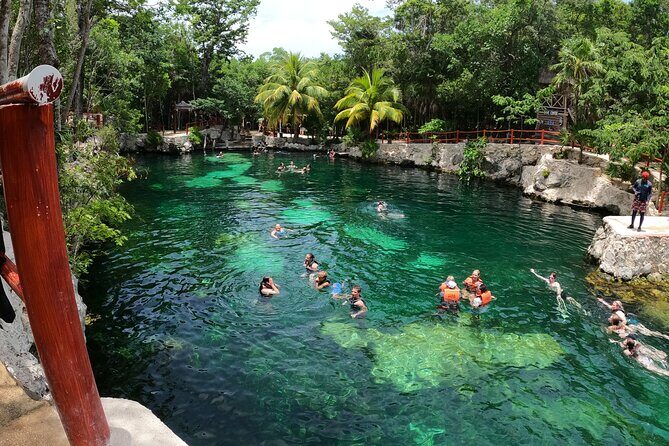 Cenotes Casa Tortuga Guide Tour with Ticket - Meeting point and timing: how to keep your day stress-free