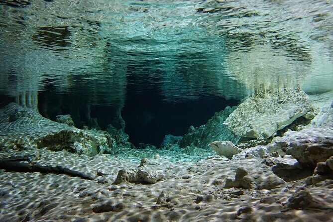Cenotes Private Tour VIP - Stop 2: Cenote Xunaan Ha for jumps and swimming
